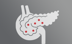 Sănătatea Sistemului Endocrin