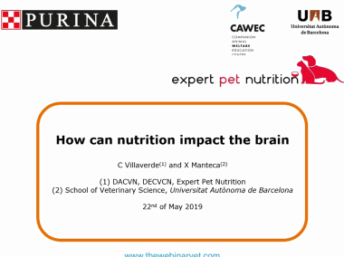 How can nutrion impact the brain 