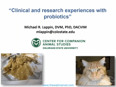 Experiences with probiotics 