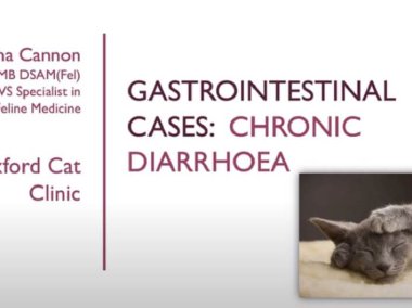 Chronic diarrhoea 
