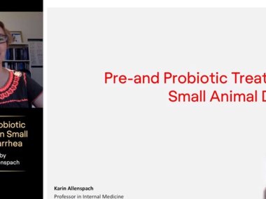 Pre and Probiotic Treatment