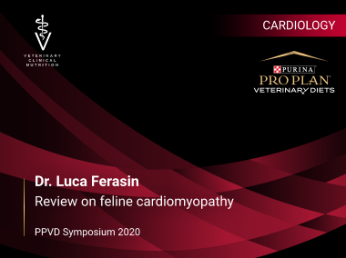 Simpozionul Purina 2020 – Dr. Luca Ferasin