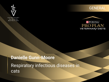 Danielle Gunn-Moore: Boli infectioase respiratorii la pisici