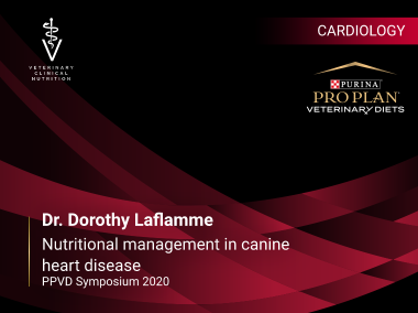 Simpozionul Purina 2020 – Dr. Dorothy Laflamme