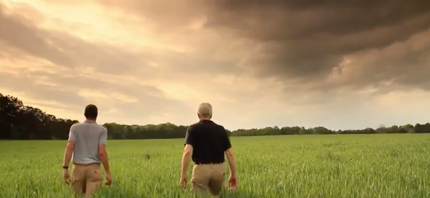 Vid 141_2.png